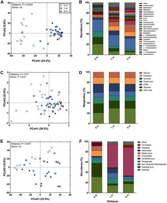 Temporal and Spatial Impact of Human Cadaver Decomposition on Soil Bacterial and Arthropod Community Structure and Function